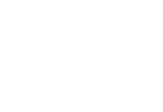 Birdly